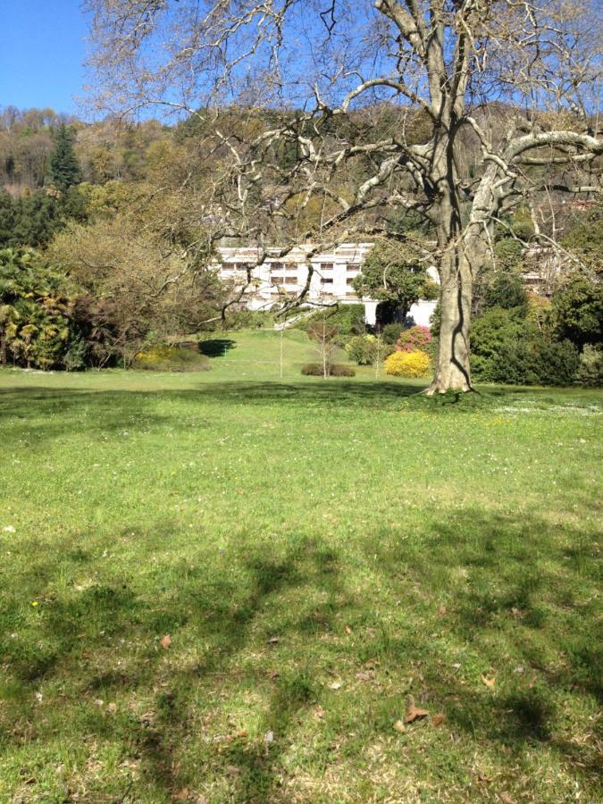 Casa Del Lago Maggiore Lesa Apartment Bagian luar foto